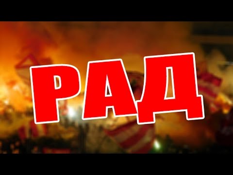 Delije | Crvena zvezda - Rad 2:1, 30.10.2016.