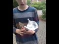 Wie Mann ein Rauch Bomb mit ein Tischtennis ball m