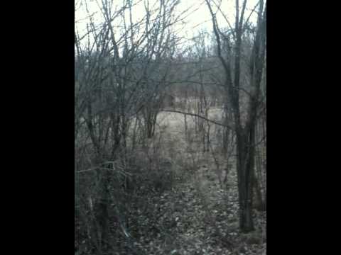 Penny road investigation