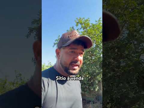 Sítio à venda Moema Minas Gerais #sitiobelohorizonte #vendas #youtube