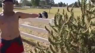 CRAZY  GUY JUMPS ON A CACTUS - epic fails