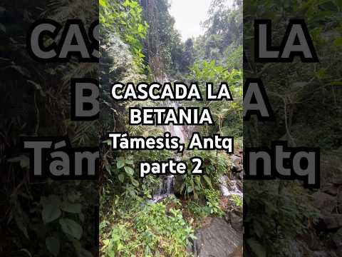 CASCADA LA BETANIA (parte 2) Támesis, Antioquia 🇨🇴 Colombia