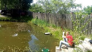 Ловля карася в своём пруду