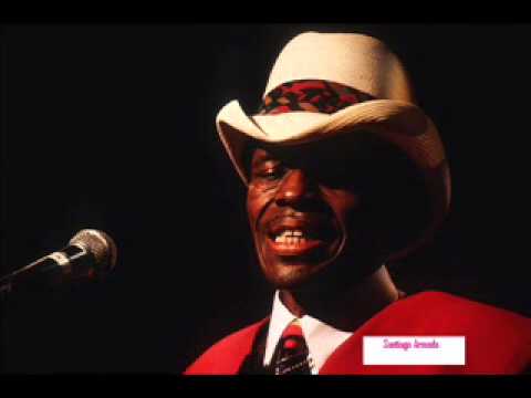 Junior Wells  - Chicago Blues Festiva,l Grant Park Chicago,Illinois, 1991