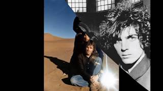 Pink Floyd - The Gold It&#39;s In The...