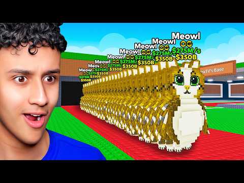 Testing BANNED Steal A Brainrot SECRETS To See If They're Real!