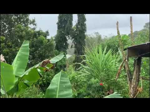 Daily Devotions March 11, 2022