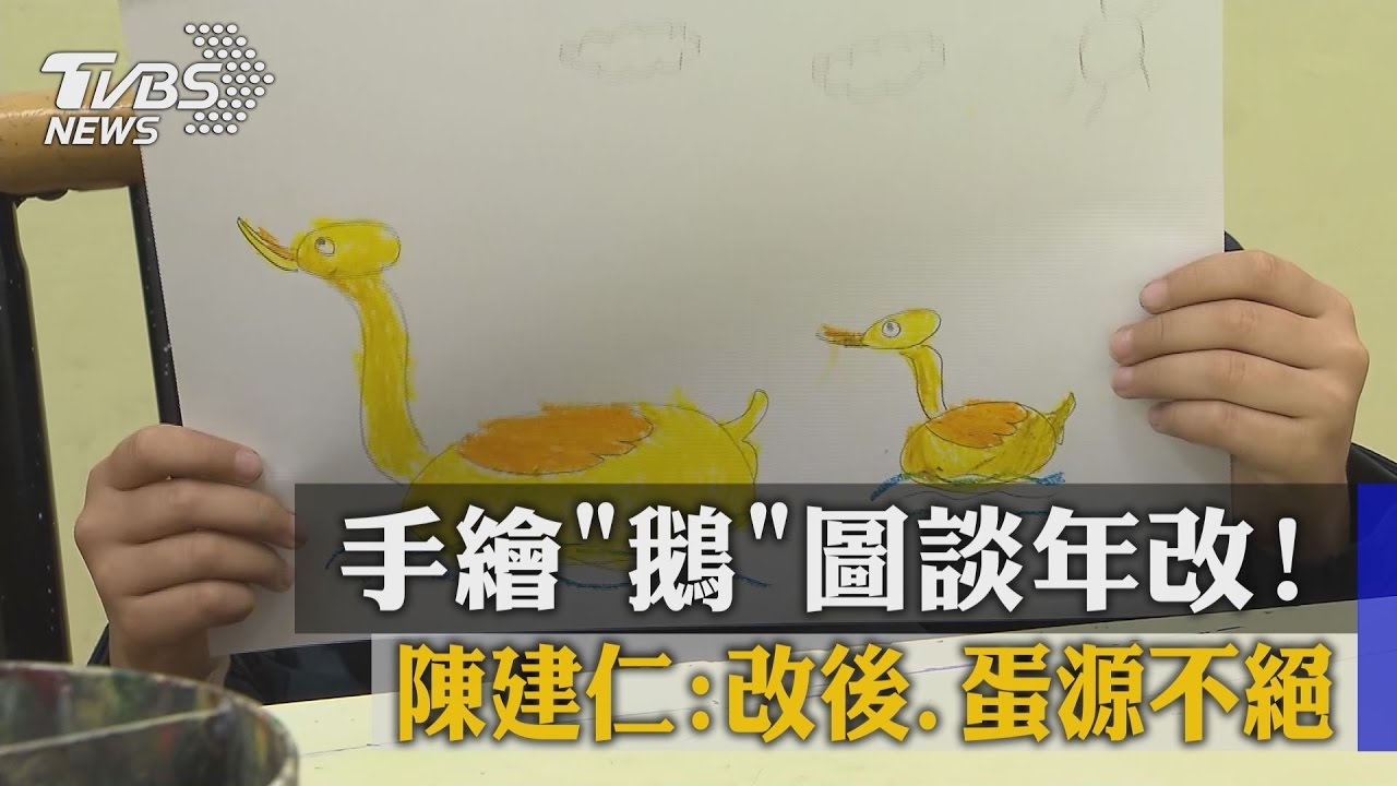 手繪「鵝」圖談年改! 陳建仁:改後、蛋源不絕