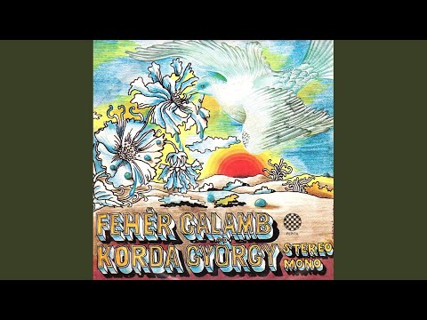 Fehér galamb (Paloma blanca)