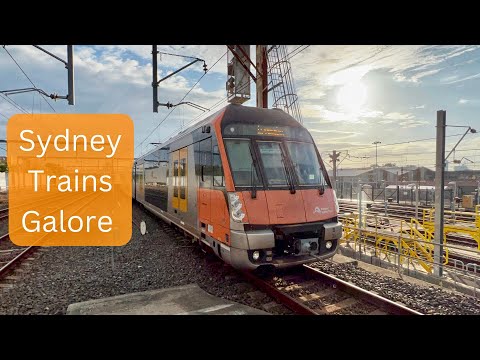 Sydney Trains Vlog 2019: Sydney Trains Galore!