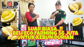 Download lagu WOW..!! 56 JUTA LUDES BORONG ECO FARMING BUAT PETANI DURIAN mp3