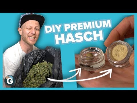 download lagu mp3 mp4 Hasch Herstellen, download lagu Hasch Herstellen gratis, unduh video klip Hasch Herstellen