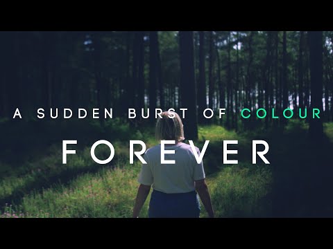A Sudden Burst of Colour - Forever (Official Video)