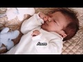 Johnny Hallyday Laura English Lyrics