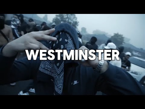 [FREE] TSB, OPT X OBLADAET X SR TYPE BEAT - "WESTMINSTER" (prodxsenon)