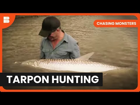 Monster Tarpon Hunt - Chasing Monsters - S02 EP05 - Nature & Adventure Documentary