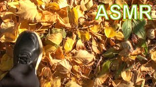 ASMR 1 minute of rustling autumn leaves for your Relaxation (no talking) gameplay video by Fayemiles18, 1:34 duration