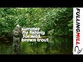 Wild Brown Trout On The Fly A Summer Fly Fishing Masterclass With Paul Procter