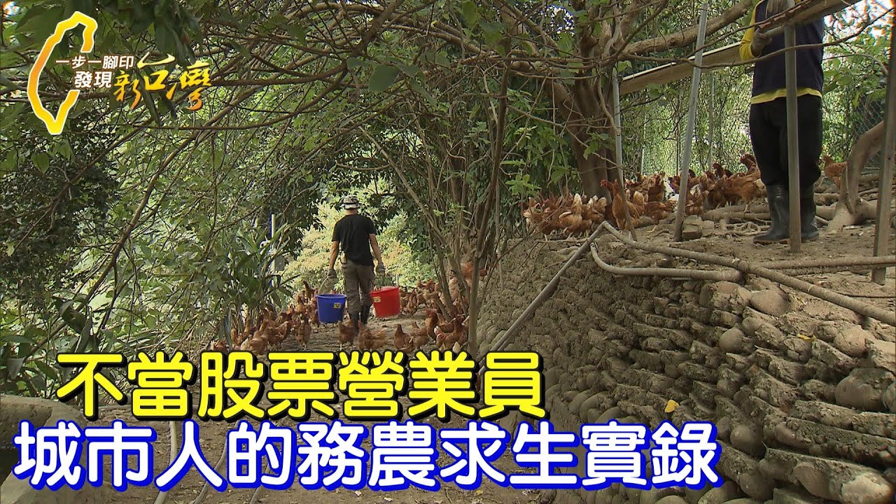 《一步一腳印》有機苦茶油、放養山雞蛋 傻子精神友善農業