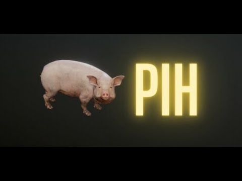 35 minutes of Pih gameplay no commentary