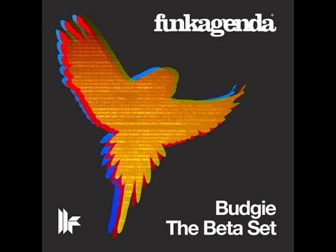 Funkagenda 'Budgie' (Original Club Mix)