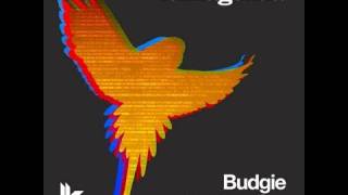 Funkagenda 'Budgie' (Original Club Mix)