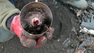 Как на рыбацкий крючок поймать крота