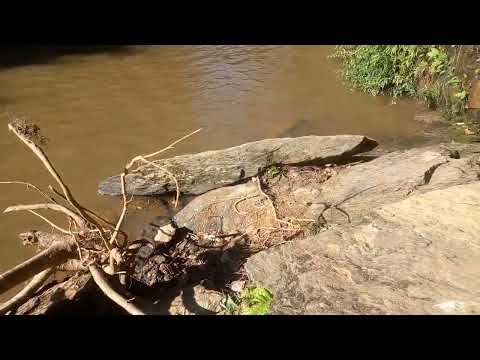 Lugar mais lindo rio Piracanjuba  bela Vista de Goiás 