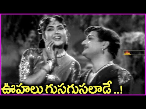 Oohalu Gusagusalade Video Song - Bandipotu Telugu Movie Songs | NTR