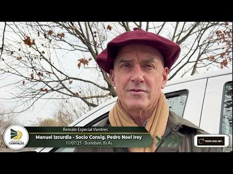 11-07-25 - Manuel Izcurdia - Consignataria Pedro Noel Irey S.R.L. - Remate Especial Vientres