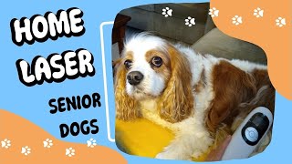 Home Cold Laser Therapy for Dog Arthritis & Pain Relief | Senior Dog Care Tips