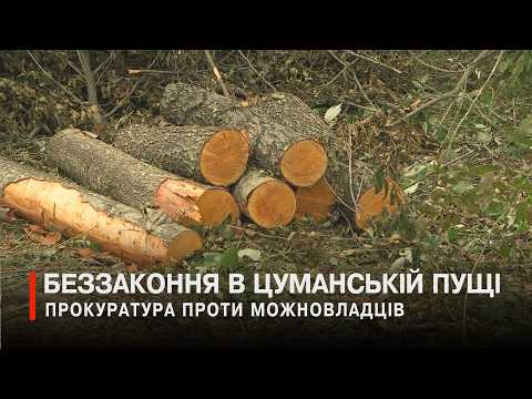 Вырубка заповедного леса: как госзаповедник на Волыни превращают в сельскохозяйственные земли