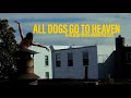 All Dogs Go To Heaven NYU Application Film ACCEPTED