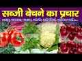 सब्जी बेचने का प्रचार Sabji Bechne Ki Recording Sabji Ki Recordi