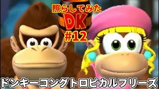 ドンキーコングトロピカルフリーズの世界を照らしてみた#12