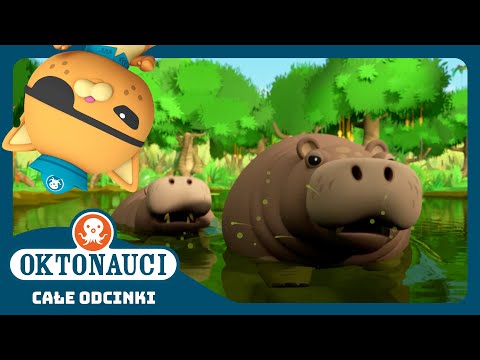 Oktonauci - 🌴 I hipopotamy 🦛 | Cały odcinek 18 | Seria 4