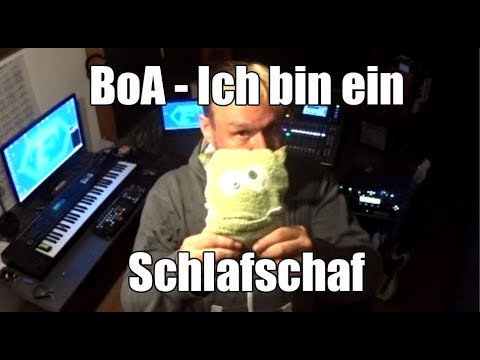 BoA - Ich bin ein Schlafschaf