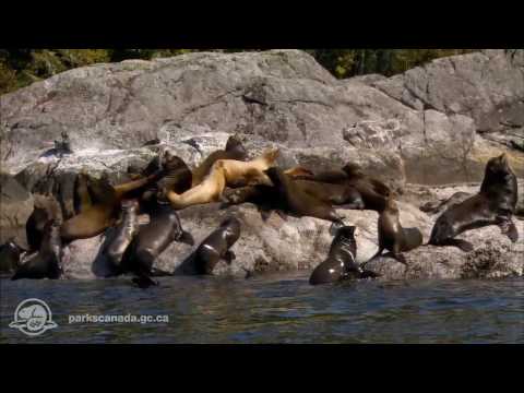 Pacific Rim National Park Reserve