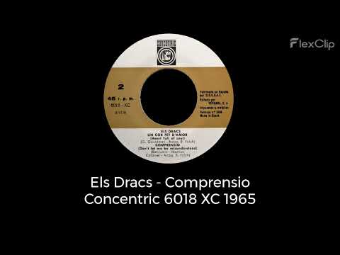 Els Dracs - Comprensio