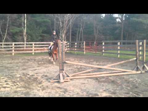 Something Southern (Tommy) Schooling