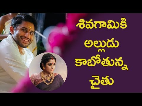 Samantha Worried About Naga chaitanya | Akkineni | Socialpost