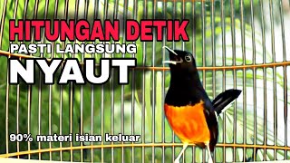Download lagu MURAI BATU GACOR em0s1 tinggi sangat ampuh NAIKAN JIWA MURAI F1GHT3R sekaligus BONGKAR ISIAN‼️ mp3 Download lagu MURAI BATU GACOR em0s1 tinggi sangat ampuh NAIKAN JIWA MURAI F1GHT3R sekaligus BONGKAR ISIAN‼️ mp3
