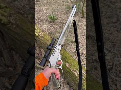 How to be a more successful hog hunter on public land