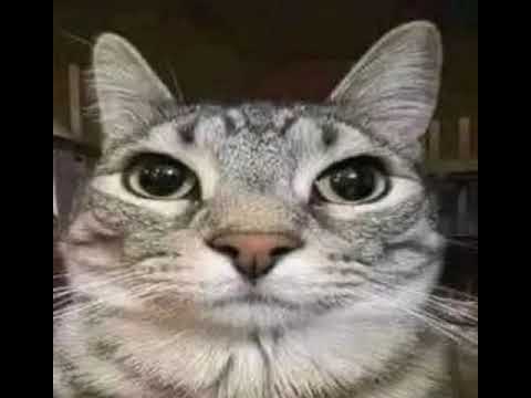 mejor ponte a chambear