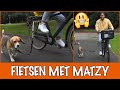 Floris past een dagje op Matzy | DierenpraatTV