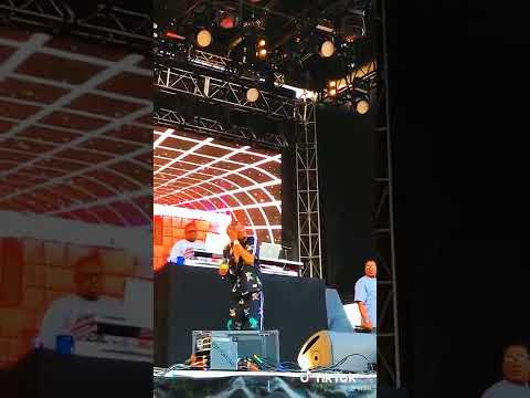 Snoop Dogg           (Hold Up)