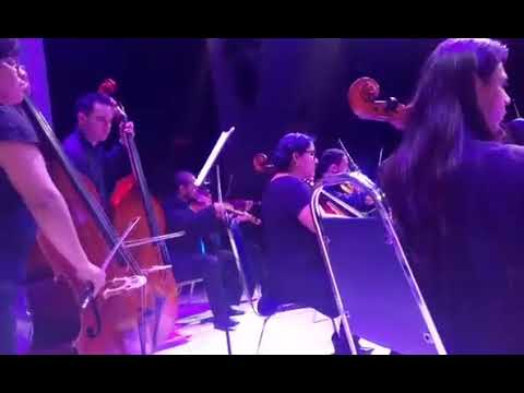 Vive la orquesta - Orquesta Filarmónica Communitatis