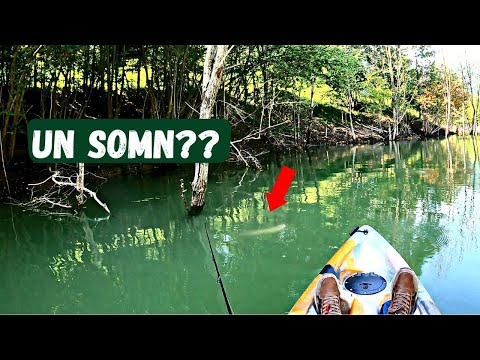 PESCUIT la CLEAN si BIBAN din CAIAC pe SIRIU