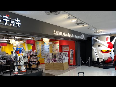 image-How many airports has Tokyo?