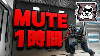 MUTEだけを1時間【シージ/R6S】